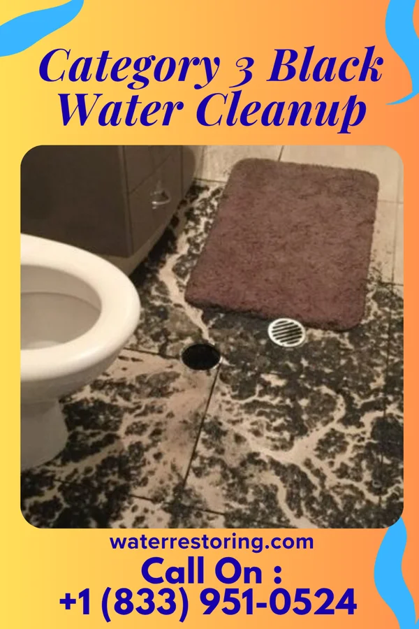 Category 3 Black Water Cleanup in Goodland, IN