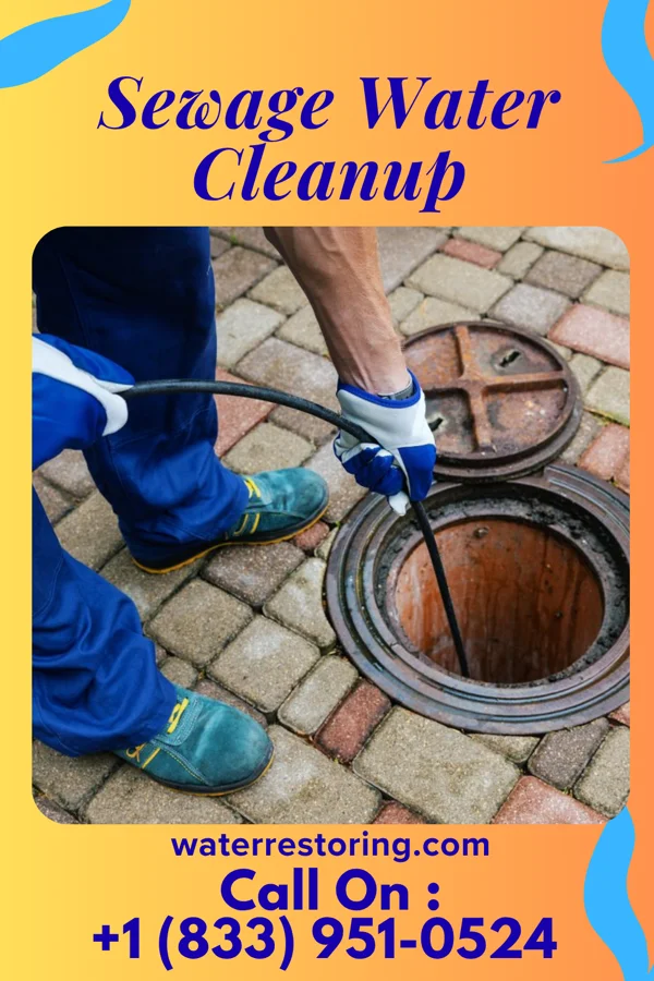 Sewage Water Cleanup in Goodland, IN